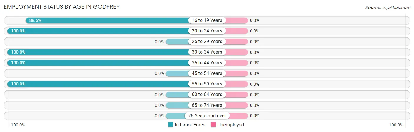 Employment Status by Age in Godfrey