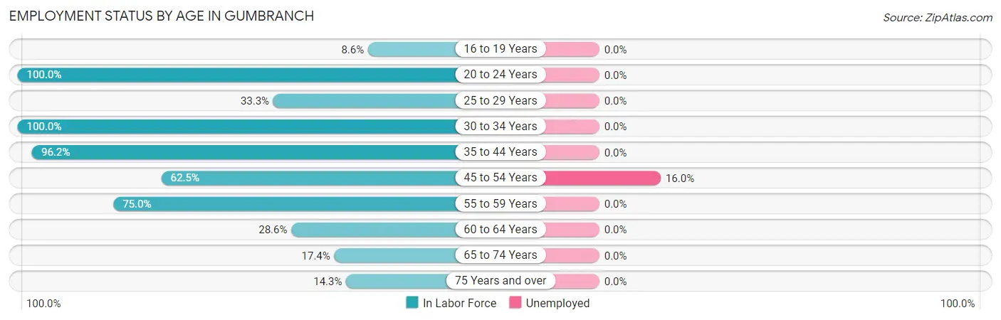 Employment Status by Age in Gumbranch