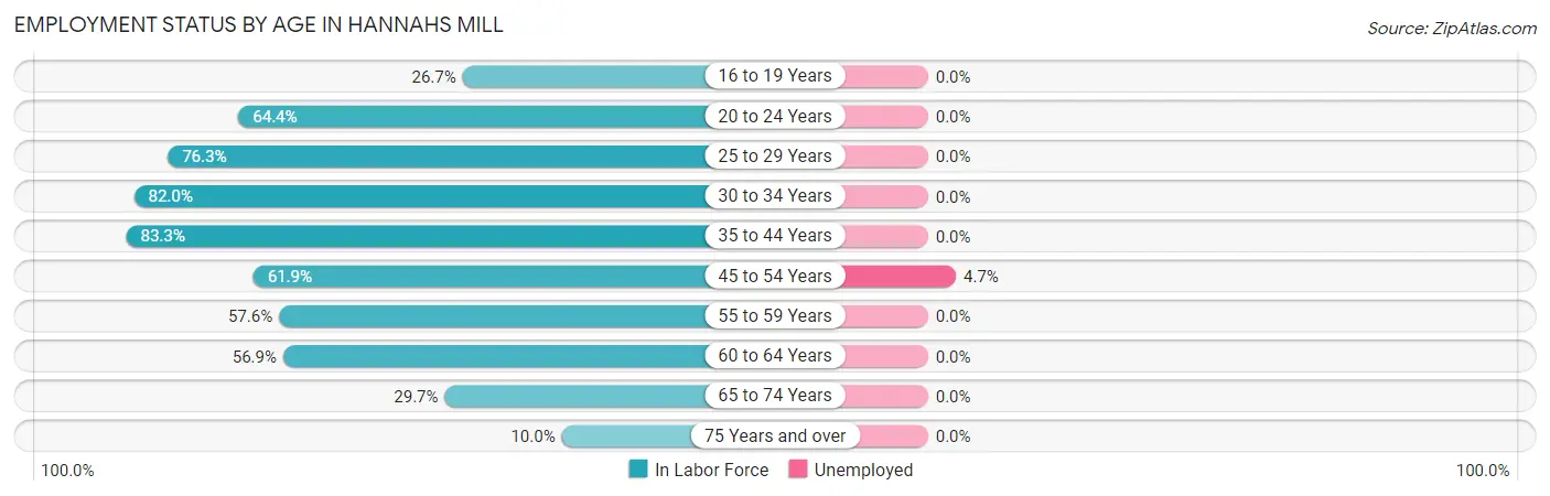 Employment Status by Age in Hannahs Mill
