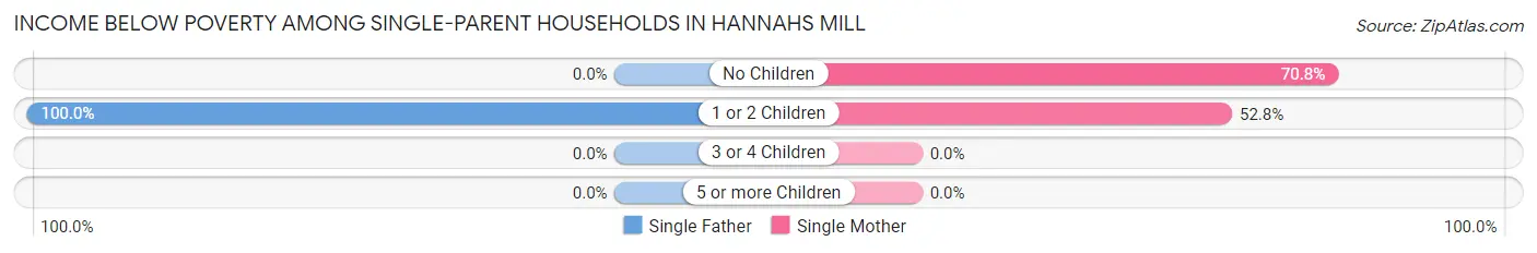 Income Below Poverty Among Single-Parent Households in Hannahs Mill