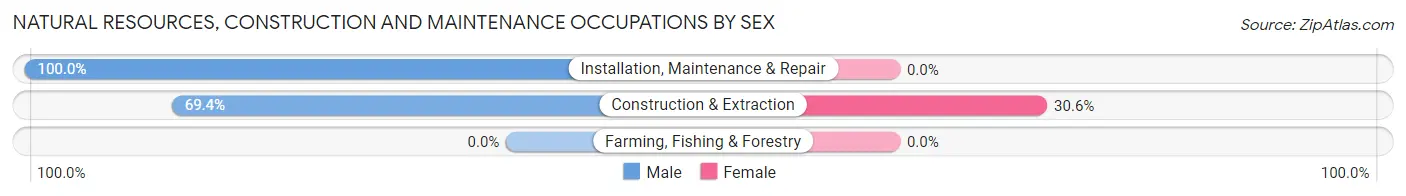 Natural Resources, Construction and Maintenance Occupations by Sex in Hannahs Mill