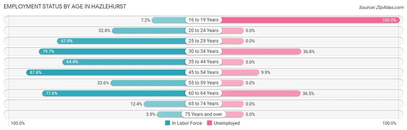 Employment Status by Age in Hazlehurst