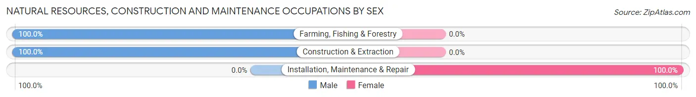 Natural Resources, Construction and Maintenance Occupations by Sex in Hiltonia