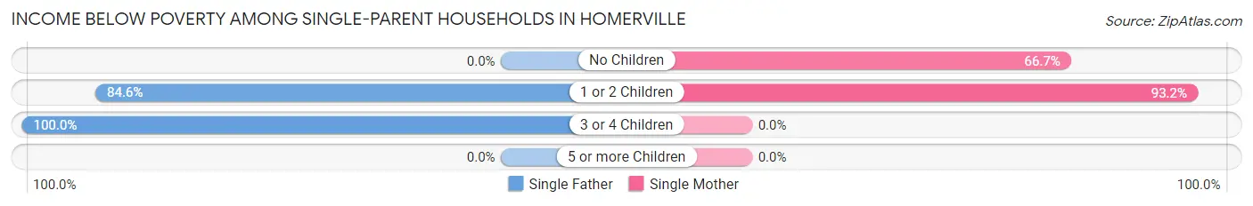 Income Below Poverty Among Single-Parent Households in Homerville