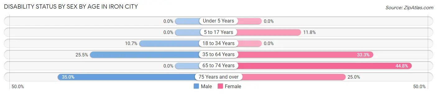 Disability Status by Sex by Age in Iron City