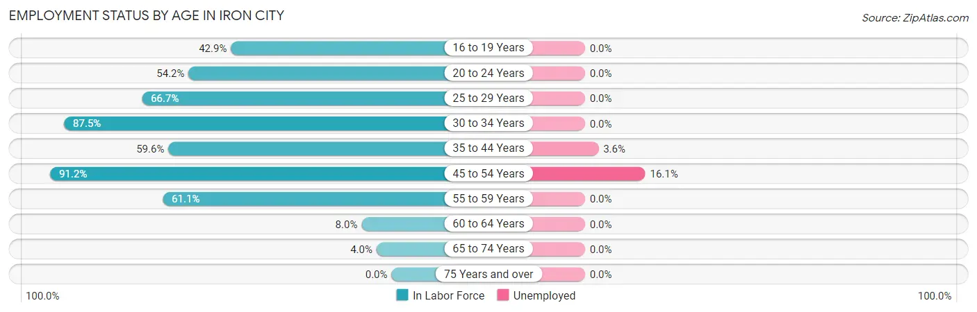 Employment Status by Age in Iron City