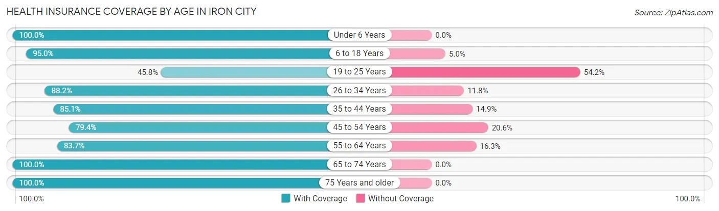 Health Insurance Coverage by Age in Iron City