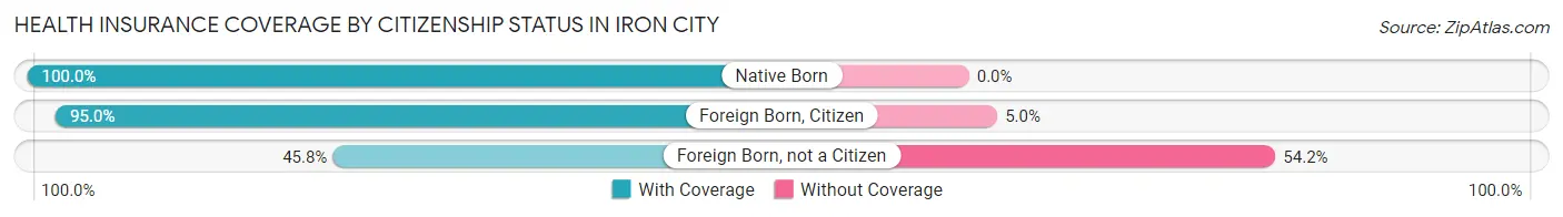 Health Insurance Coverage by Citizenship Status in Iron City