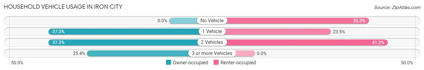 Household Vehicle Usage in Iron City