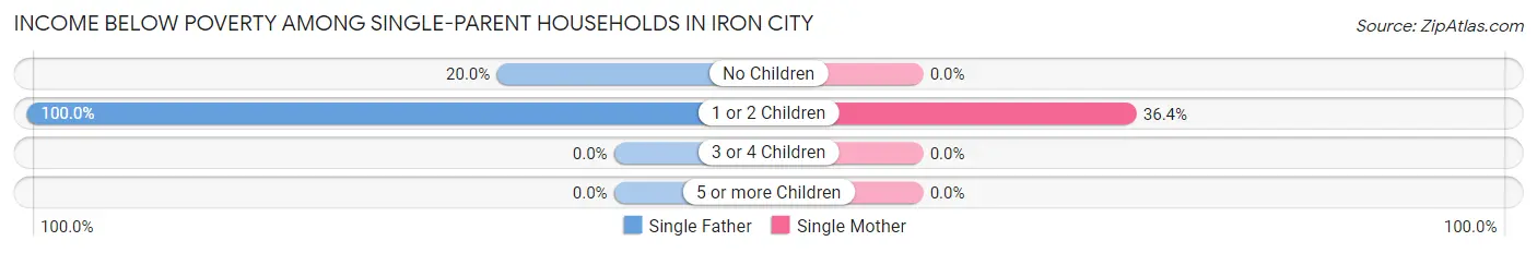 Income Below Poverty Among Single-Parent Households in Iron City