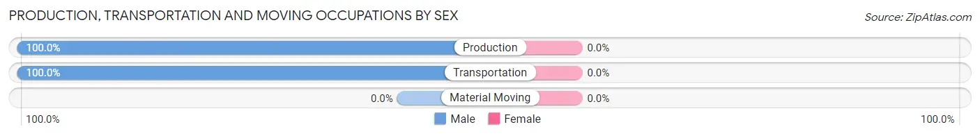 Production, Transportation and Moving Occupations by Sex in Iron City