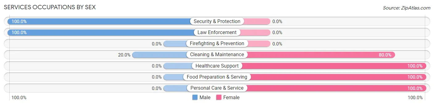 Services Occupations by Sex in Iron City