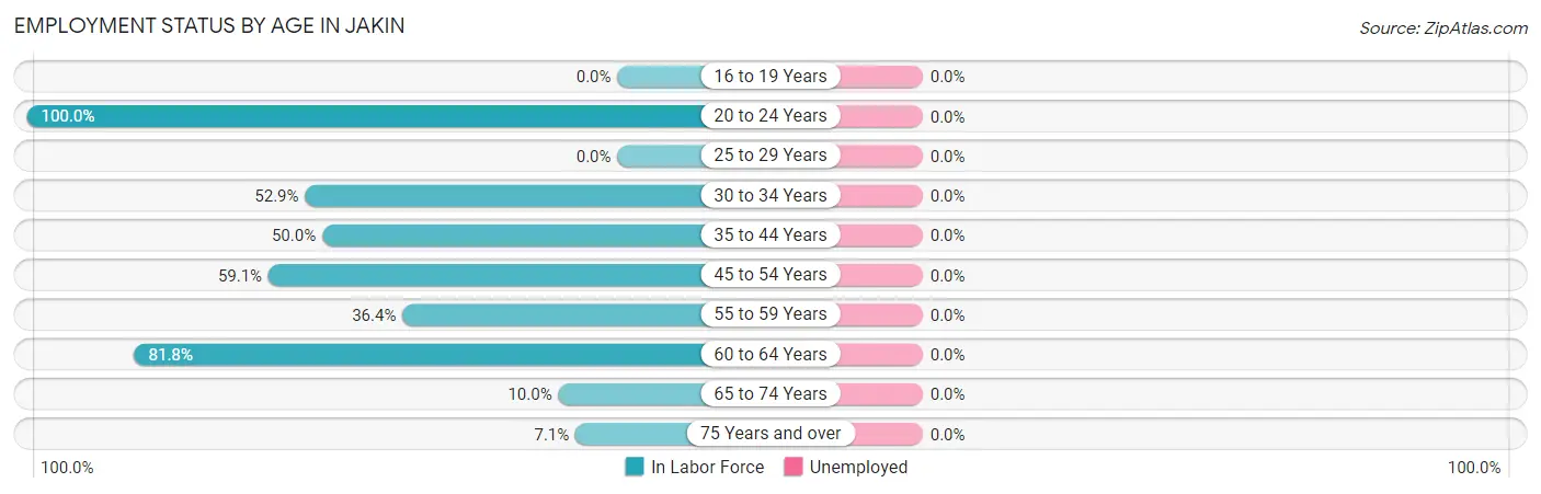 Employment Status by Age in Jakin
