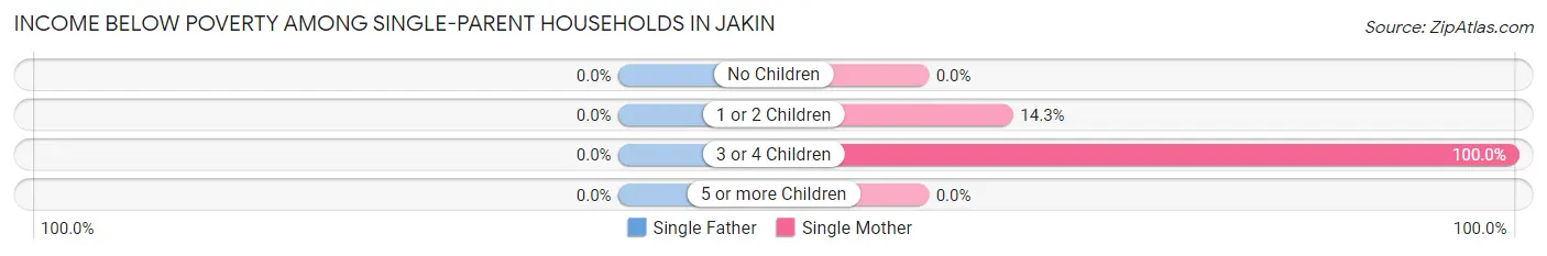 Income Below Poverty Among Single-Parent Households in Jakin