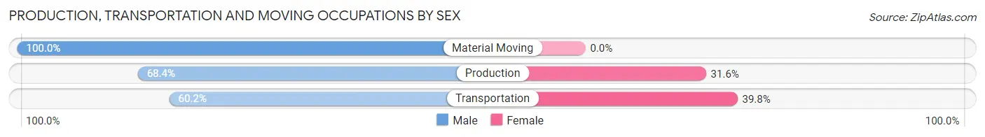 Production, Transportation and Moving Occupations by Sex in Leesburg
