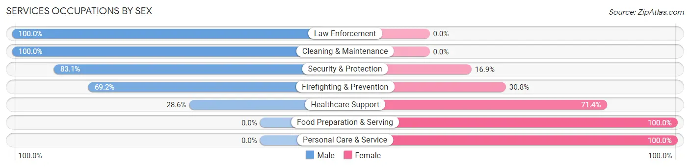 Services Occupations by Sex in Leesburg
