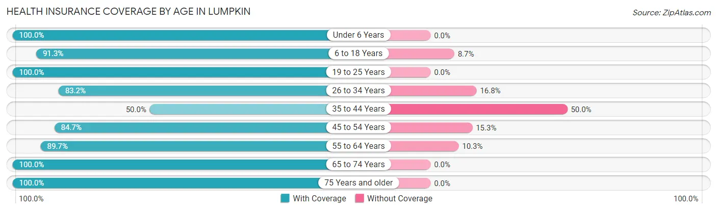 Health Insurance Coverage by Age in Lumpkin
