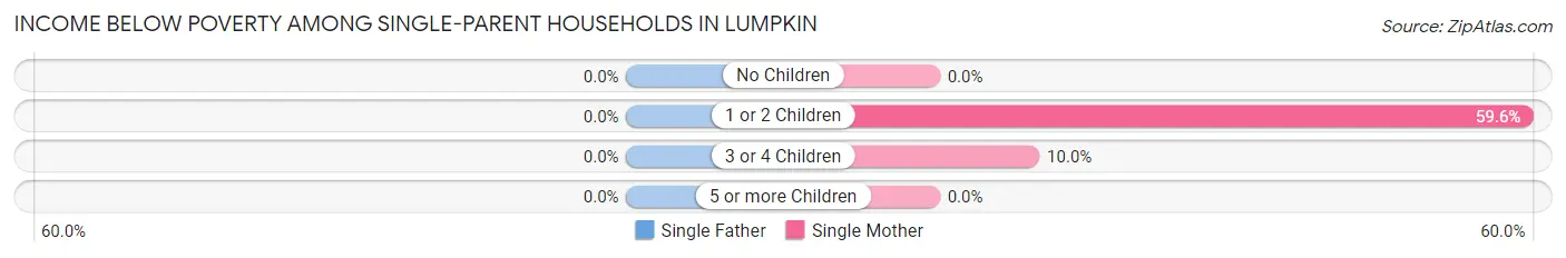 Income Below Poverty Among Single-Parent Households in Lumpkin