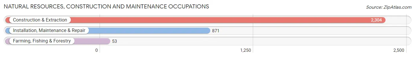 Natural Resources, Construction and Maintenance Occupations in Marietta