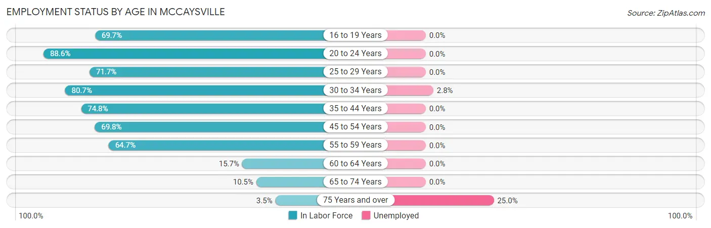 Employment Status by Age in McCaysville