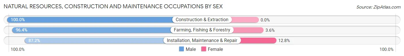 Natural Resources, Construction and Maintenance Occupations by Sex in Mcdonough