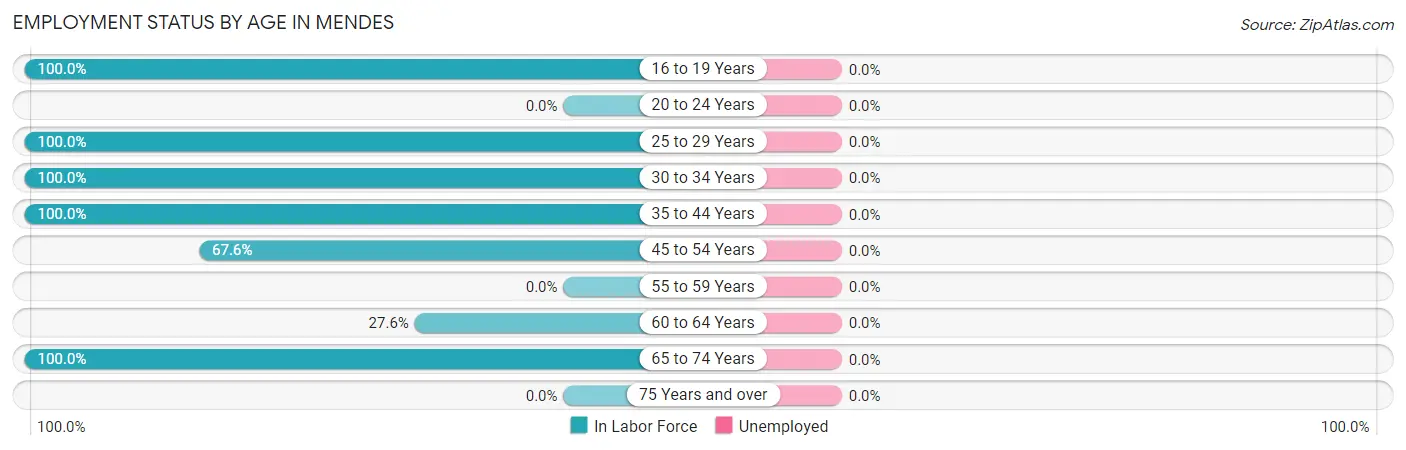 Employment Status by Age in Mendes