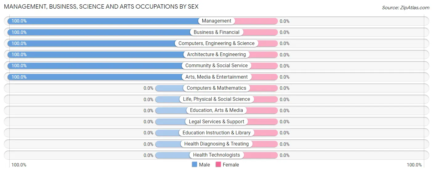 Management, Business, Science and Arts Occupations by Sex in Mendes