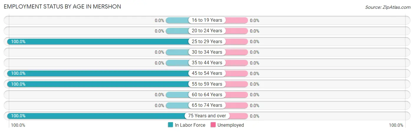 Employment Status by Age in Mershon
