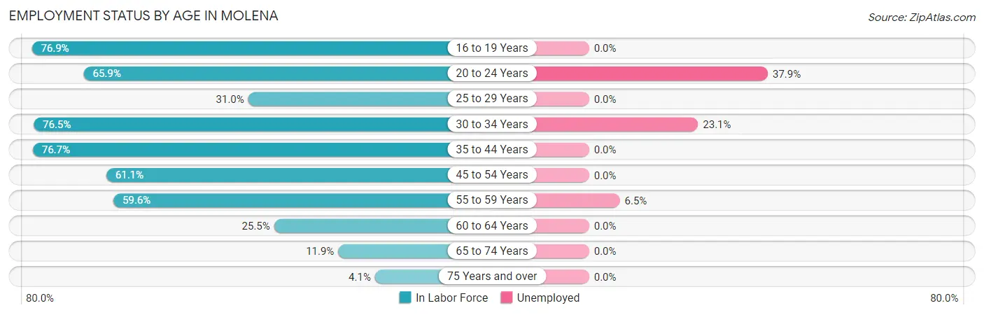 Employment Status by Age in Molena