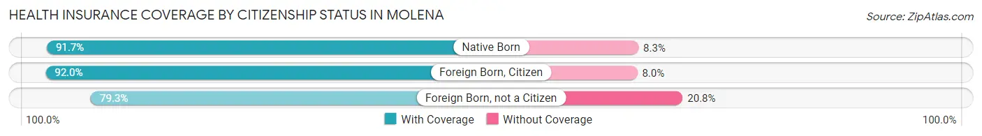 Health Insurance Coverage by Citizenship Status in Molena
