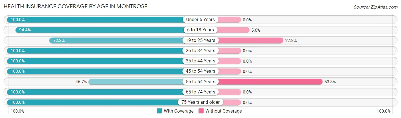 Health Insurance Coverage by Age in Montrose