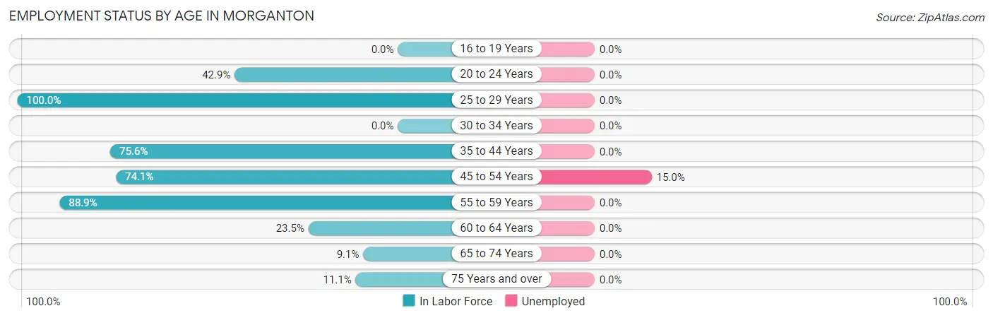 Employment Status by Age in Morganton