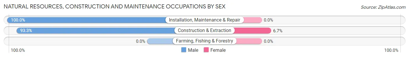 Natural Resources, Construction and Maintenance Occupations by Sex in Morganton