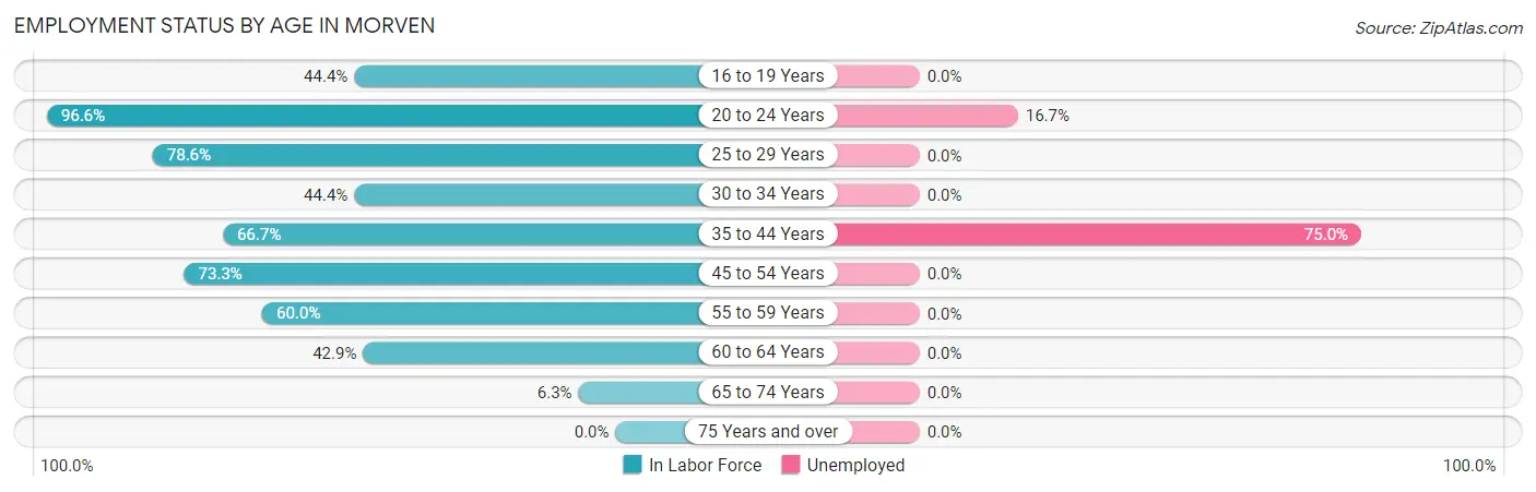 Employment Status by Age in Morven