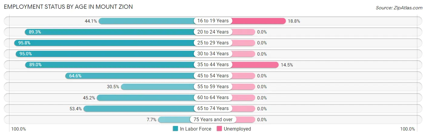 Employment Status by Age in Mount Zion