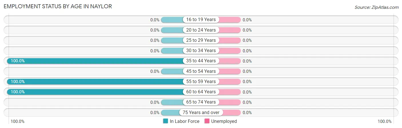 Employment Status by Age in Naylor
