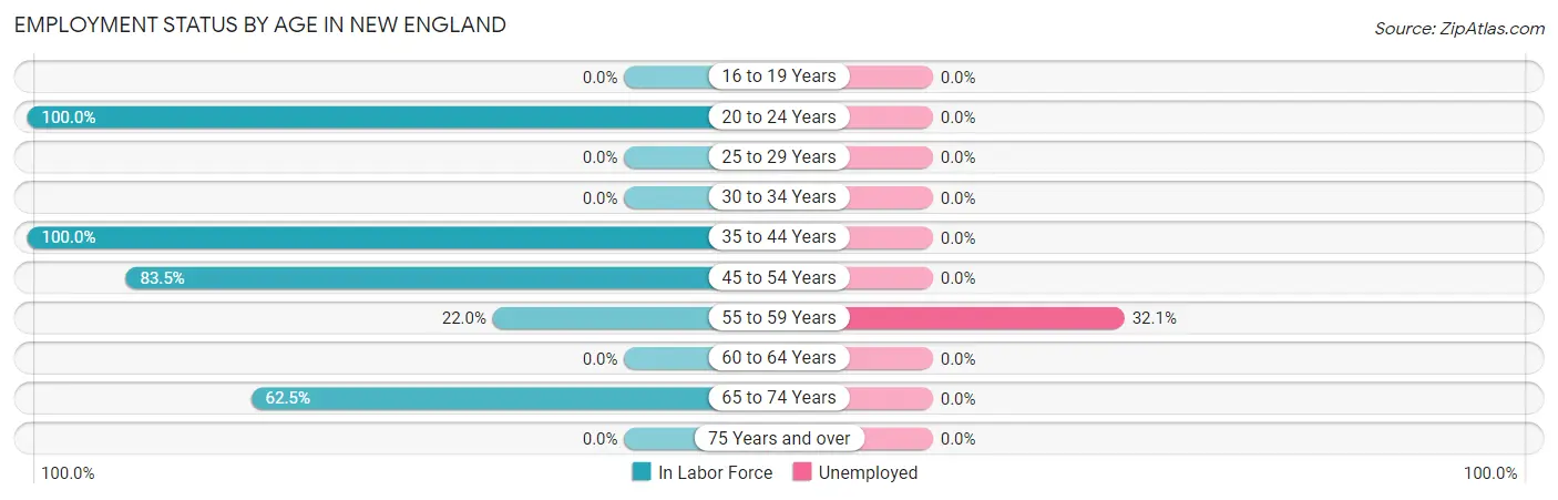 Employment Status by Age in New England