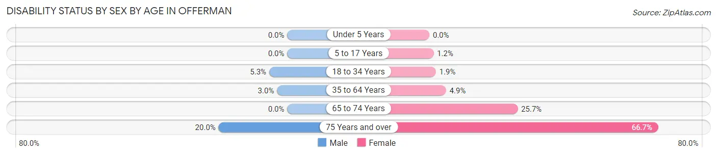 Disability Status by Sex by Age in Offerman
