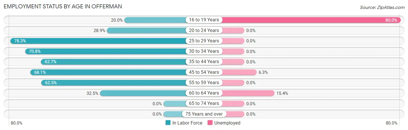 Employment Status by Age in Offerman
