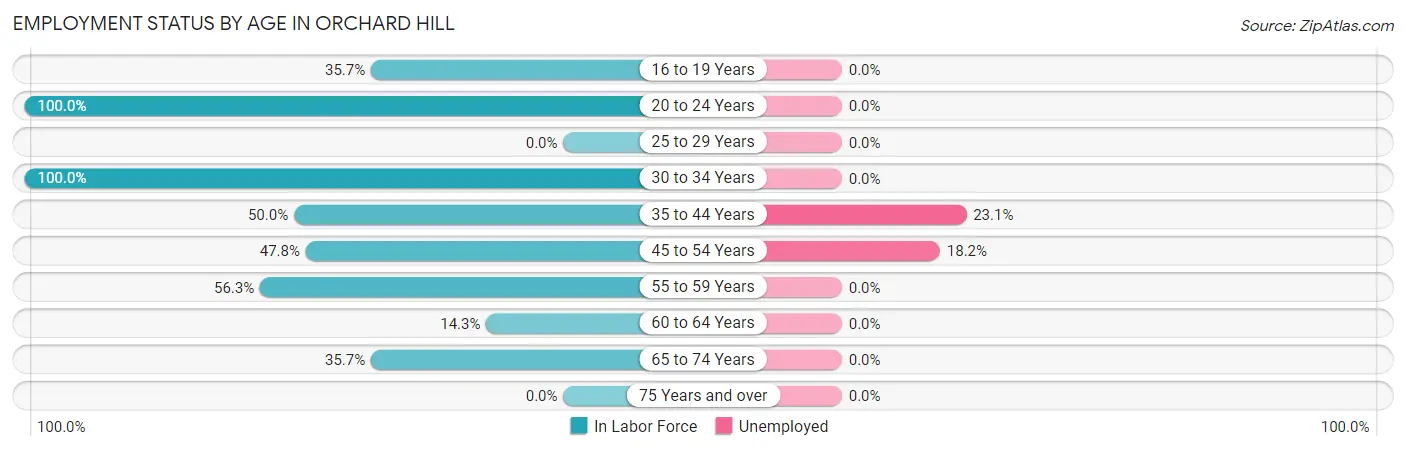 Employment Status by Age in Orchard Hill
