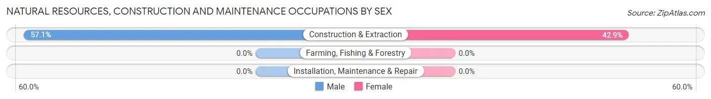 Natural Resources, Construction and Maintenance Occupations by Sex in Orchard Hill