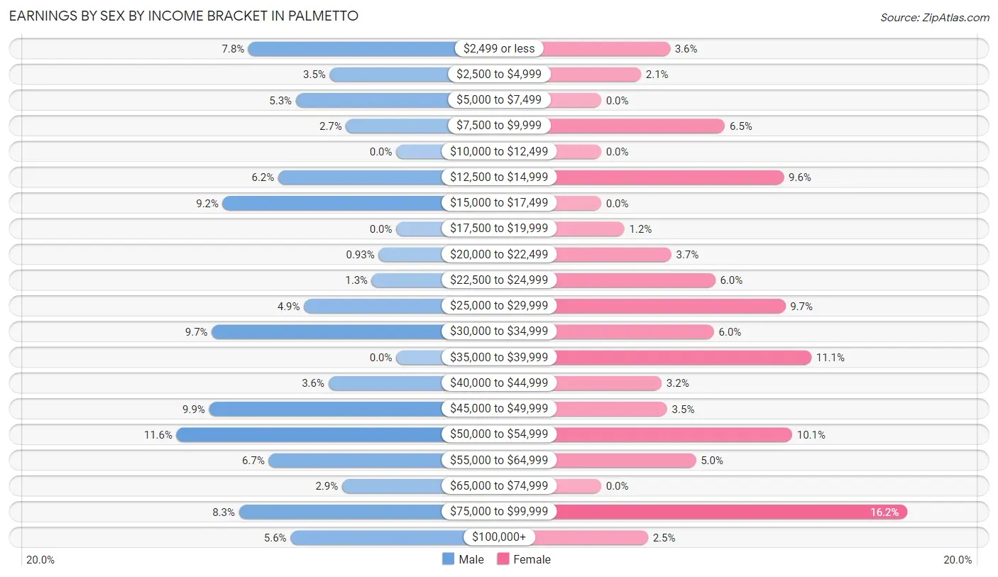 Earnings by Sex by Income Bracket in Palmetto