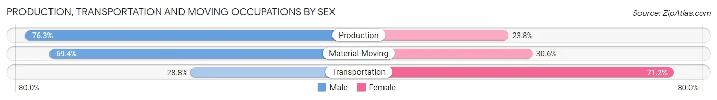 Production, Transportation and Moving Occupations by Sex in Palmetto