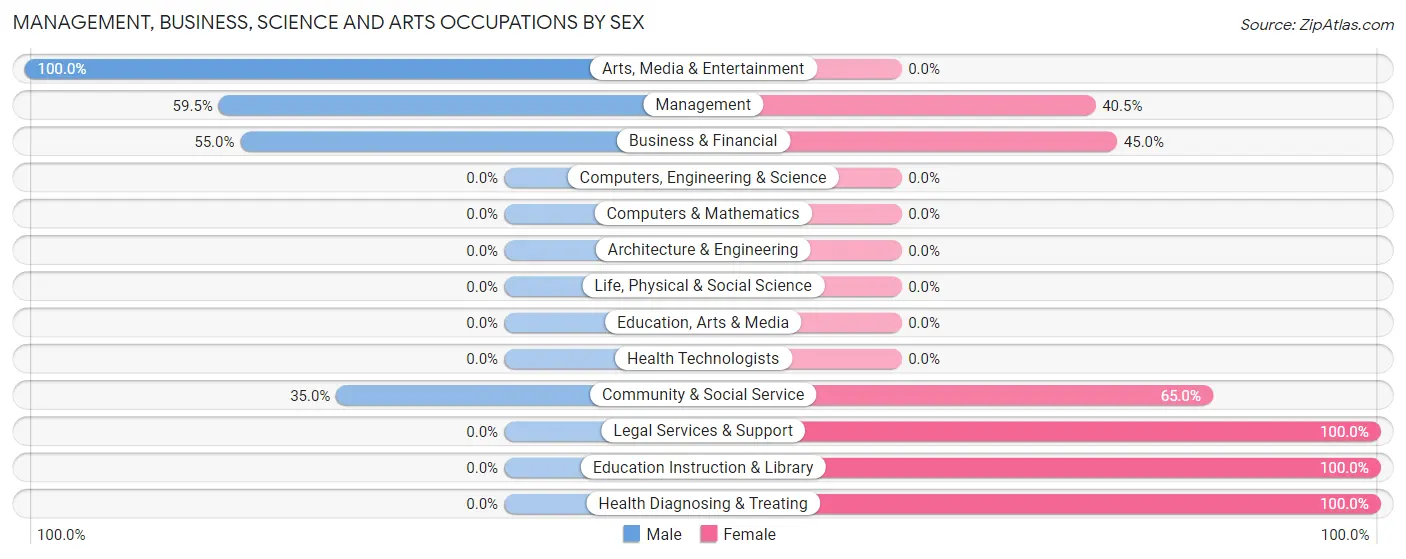 Management, Business, Science and Arts Occupations by Sex in Pearson