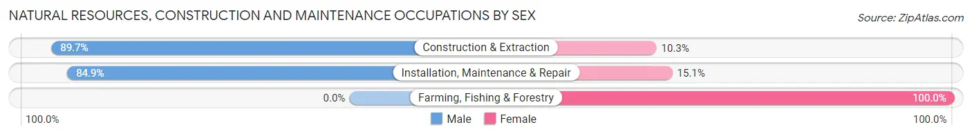 Natural Resources, Construction and Maintenance Occupations by Sex in Pearson