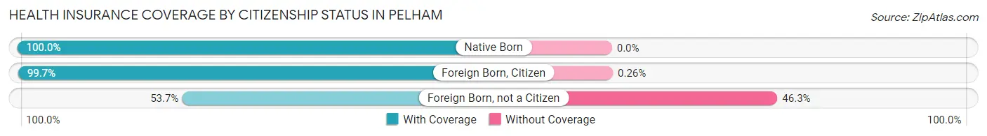 Health Insurance Coverage by Citizenship Status in Pelham