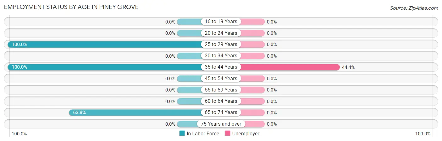 Employment Status by Age in Piney Grove