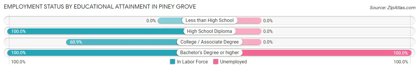 Employment Status by Educational Attainment in Piney Grove