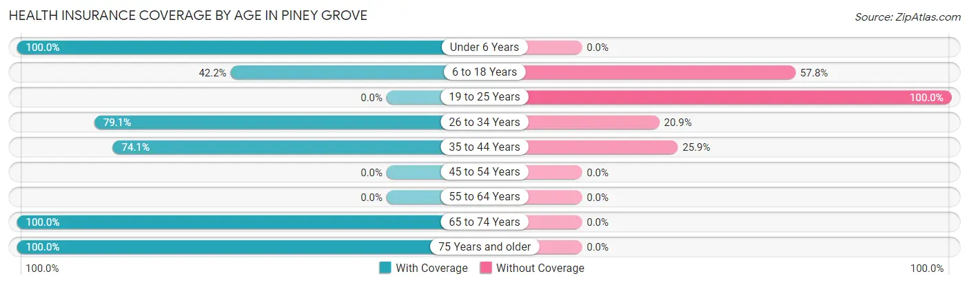 Health Insurance Coverage by Age in Piney Grove