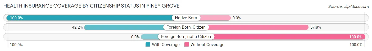 Health Insurance Coverage by Citizenship Status in Piney Grove